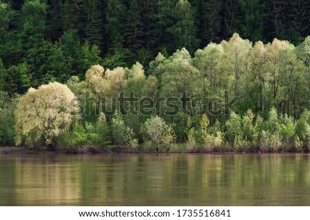 Beautiful landscape of canvases of green trees by the river
