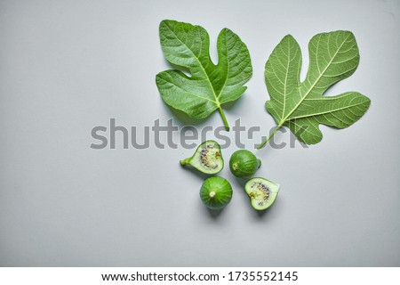 Green common fig with a leaf on grey background