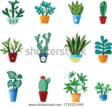 set of houseplants cartoon vector illustration Botany collection