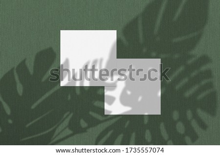 Business card Mockup. Natural overlay lighting shadows the monstera leaves. Square business cards. Scene of Leaf Shadows on green background.