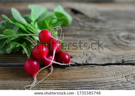 Fresh spring radishes on old wooden table, rustic style, close-up, copy Space.