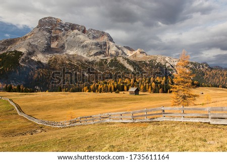 Pasture Prato Piazza in autumn, Drei Zinnen national park, Sudtirol, Italian Dolomites, Tre Cime di Lavaredo, South Tyrol, Italy, landscape, background, copy space, horizontal