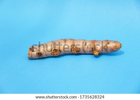 Picture of Turmeric root on a blue background.