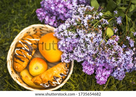 basket with fruits and croisaants and bouquet of lilac in the stump in the forest