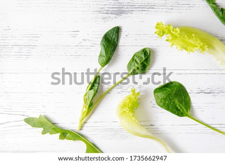herbs,  green lettuce, spinach, arugula leaves on a white wooden background, 