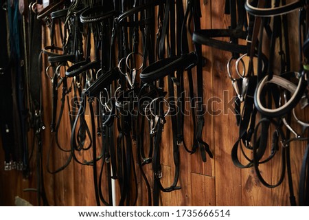 horse reins hang on the wall. Horse theme