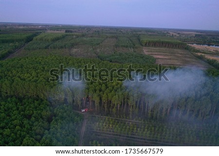 Forest fire. Dry undergrowth with burning gray smoke in the air, natural disaster. Aerial view. Firefighters extinguished the fire. Attention - evening shot shows noise in the picture!