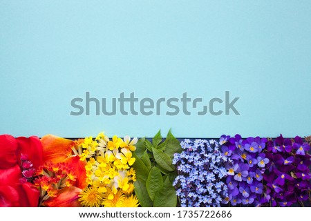 Background with color spectrum, a rainbow of flowers. Space on paper for text.