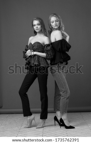 Two happy cheerful attractive woman friends standing and posing. Studio portrait at gray background, Elegant female models wearing casual clothes. Ladies in jeans and tops with makeup and hairstyle