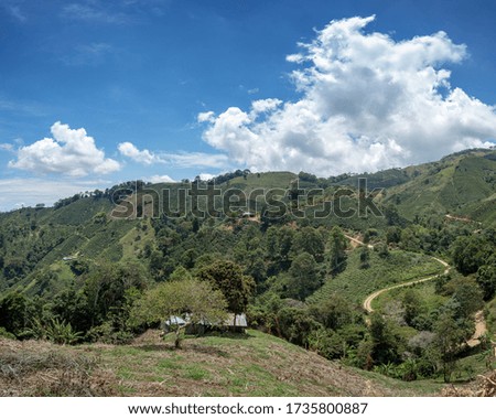 A landscape of hills covered in greenery under the sunlight and a blue cloudy sky at daytime