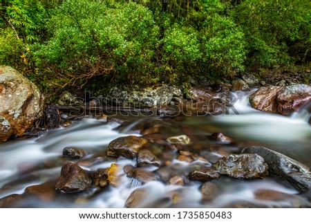 River flowing in nature. Long exposure water in stream. Waterscape creek in forest wilderness. Amazing beautiful nature background. Fresh clear water flowing in natural scenery. Smooth water blur.