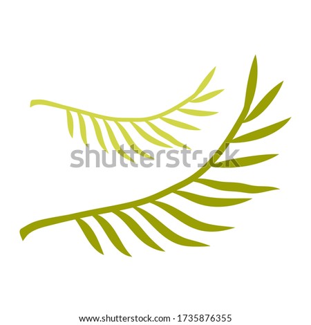 Stock Vector Graphics green palm twigs. Tropical plant with green curved leaves. Beautiful plant on a white background. T-shirt printing, print design, flat design, sticker, design and poster design