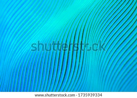 Abstract turquoise background, selective focus photo.