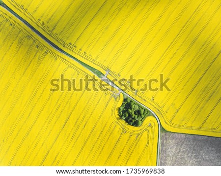 Aerial top view with drone yellow spring crop of canola, rapeseed or rape viewed, agriculture Royalty-Free Stock Photo #1735969838
