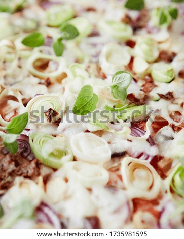 Pizza with mozzarella cheese, leek, red onion and champignon mushrooms. Close up.	