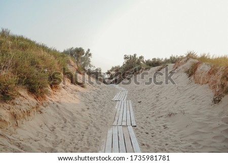 Path of sand  leads to the beach between dunes with  grasses with posts and ground of wood