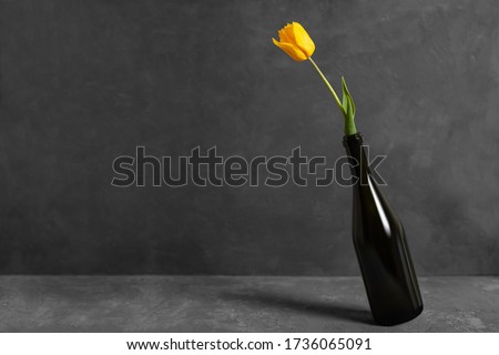 Yellow tulip in a glass bottle on concrete background with copy space.