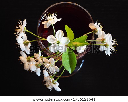 Cherry juice in a wine glass with white cherry flowers on a black background closeup, top view. Bright spring picture with a drink and blooming for the screensaver, wallpaper, card design