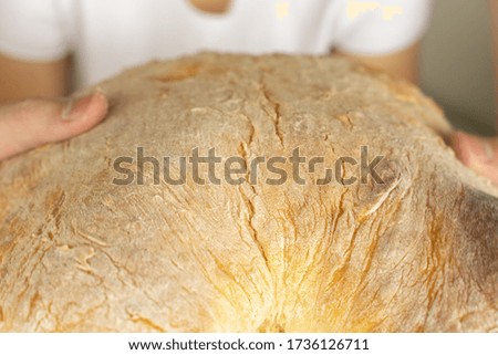 small child breaks freshly baked bread