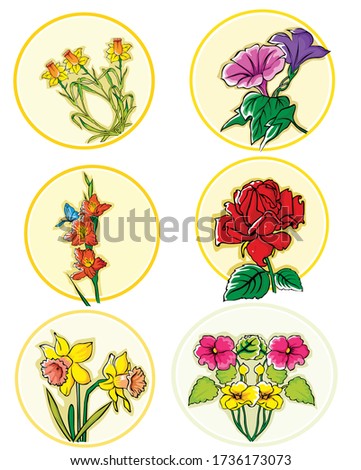 flowers collection. Vector isolated elements 