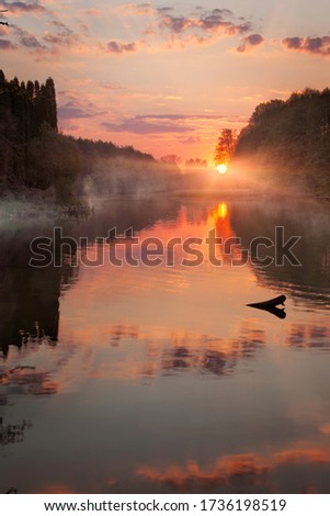 sunset on the lake with fog, rays of the sun  Royalty-Free Stock Photo #1736198519