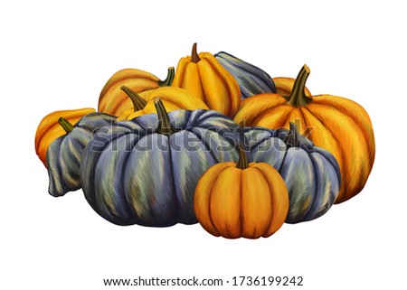 Bright drarwn pumpkins. Autumn harvest clip art on white background