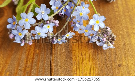 Pansies on a wooden table