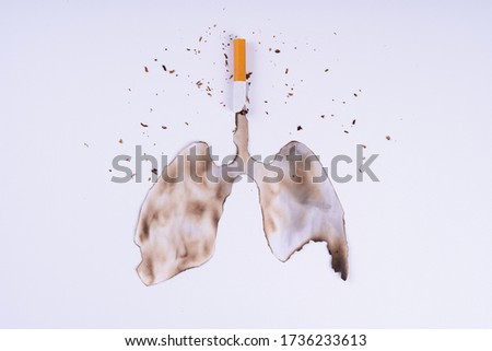 Cigarette smoke lungs. The cigarette destroy lungs on white background. Cigarette causes cancer and kill. No smoking campaign concept.