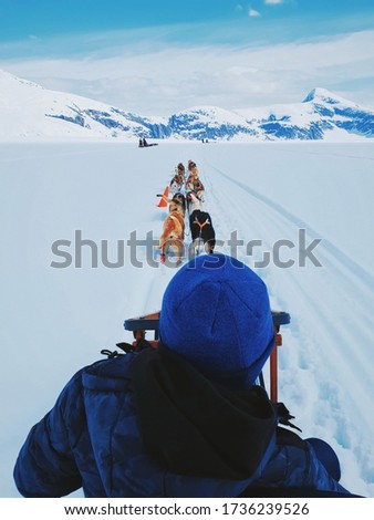 Dog sledding at Mendenhall Glacier via shore excursion during a cruise trip to Alaska with Ruby Princess Cruise