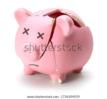 Broken piggy bank isolated on white background. Royalty-Free Stock Photo #1736304929