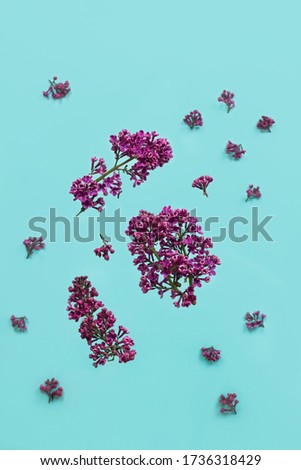 Fresh spring texture of flying lilac flowers in flight on a delicate blue background. The concept of a spring bloom. Space for creativity and text. Minimalism. Mock up