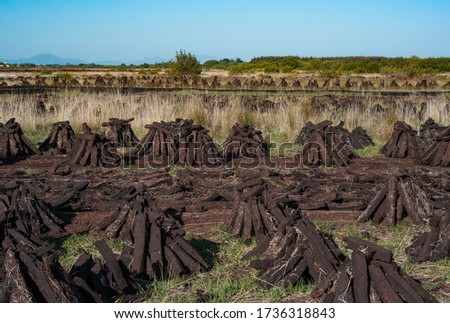 Peat bog turf bricks drying in a field in rural Ireland Royalty-Free Stock Photo #1736318843