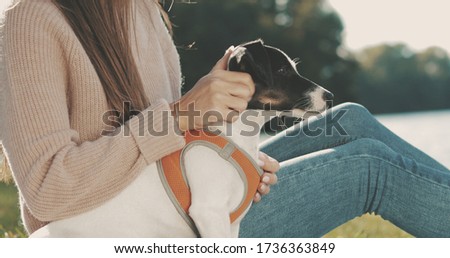 Portrait of beautiful young woman hug play with dog jack russell terrier on the lake shore