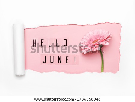 Hello June text and pink gerbera flower on pink background. Paper hole with torn edges. Royalty-Free Stock Photo #1736368046