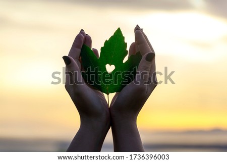 heart on leaf in woman's hands at sunset