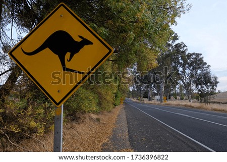 Kangaroo traffic sign on the road, South Australia