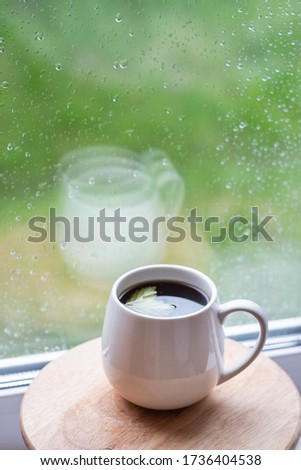 White cup with brewed black tea with currant leaves on a background of a rainy window