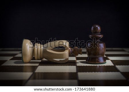 Chessmen. A pawn and the won king