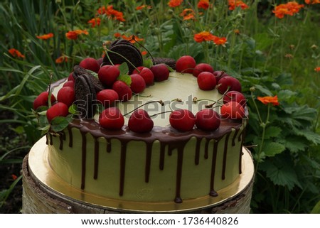 Green cake with cherry and oreo