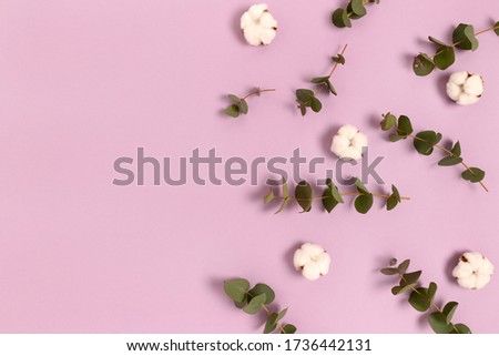 Frame made of eucalyptus and cotton on a purple pastel background. Spring concept with copy space.