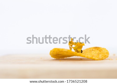 Miniature people, Workers work on  production potato chips on white background (food concept)