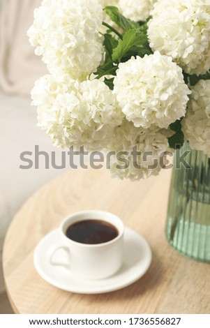 Composition with hydrangea flowers indoor. Spring plant