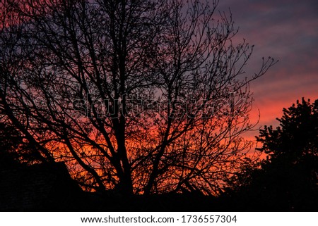 Burning sky in Bavaria, romantic sunset with a tree, peace of mind