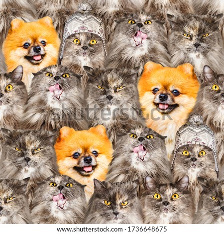 Set of isolated cute British cats and ginger dogs in different emotions and poses in cartoon style