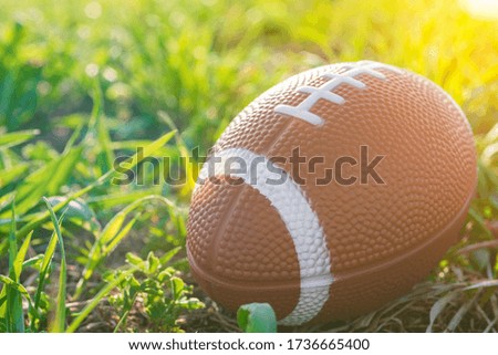 Rugby ball on green grass, american football. Competition Game Concept