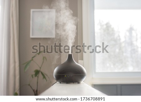 Essential oils diffusing at home in the morning light Royalty-Free Stock Photo #1736708891