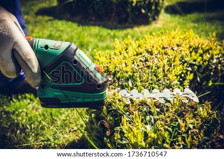 Trimming shrubs with an electric trimmer. Man cuts the bushes with a battery pruning shears. Concept of caring for the garden, the beauty of the garden. Allotment season. Support for work in garden.
