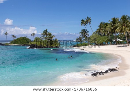 Three people swimming in blue waters at tropical sandy beach