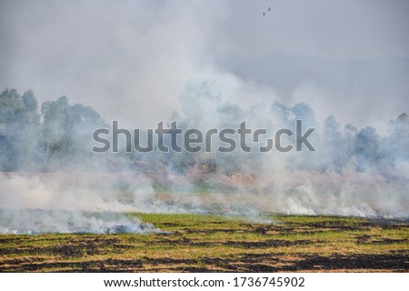 Burning fields in Thailand. Smoke and burnt grass on the field.