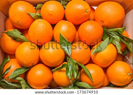 Top view of tasty spanish oranges freshly collected on a wooden box Royalty-Free Stock Photo #173674910